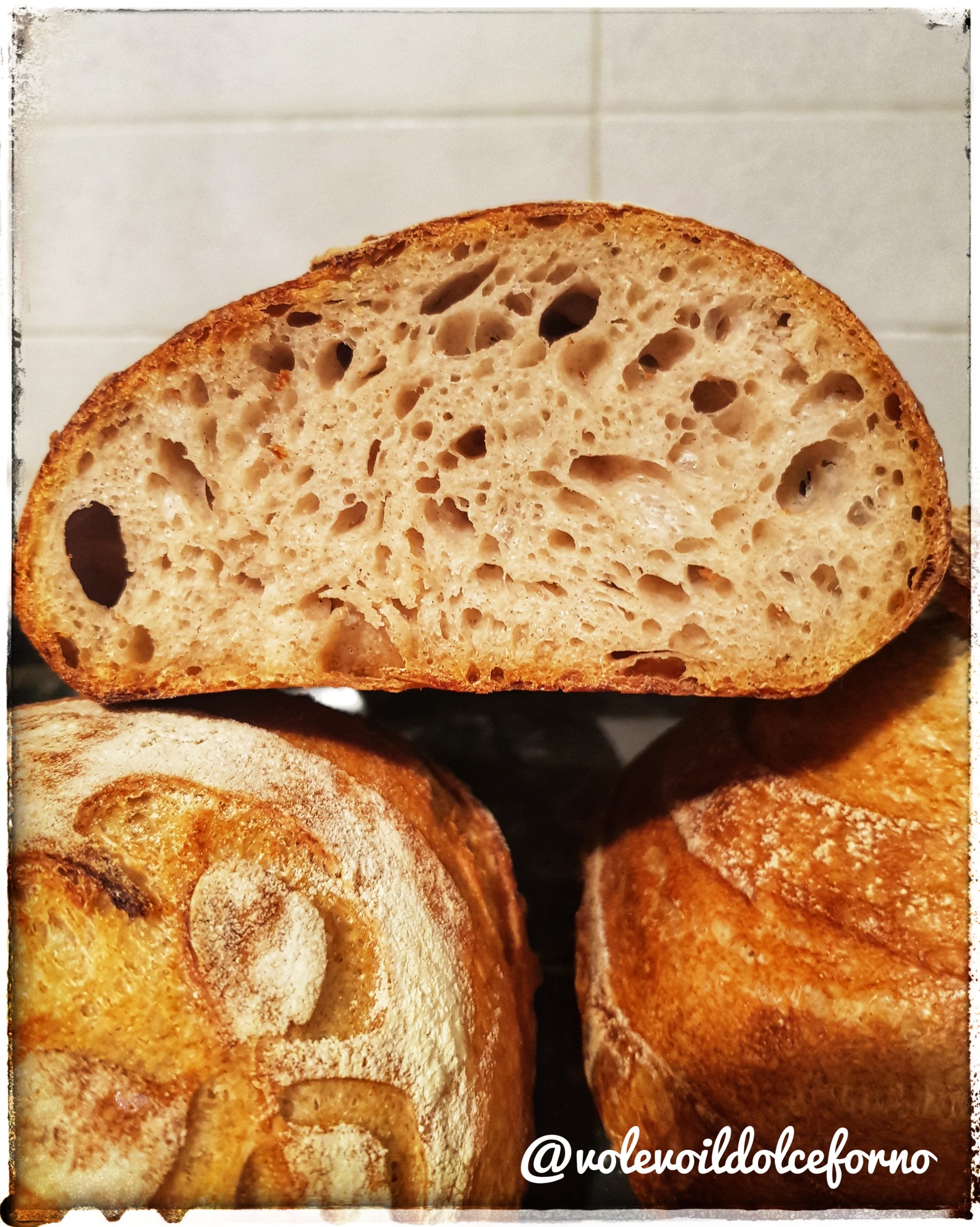 Pane con licoli