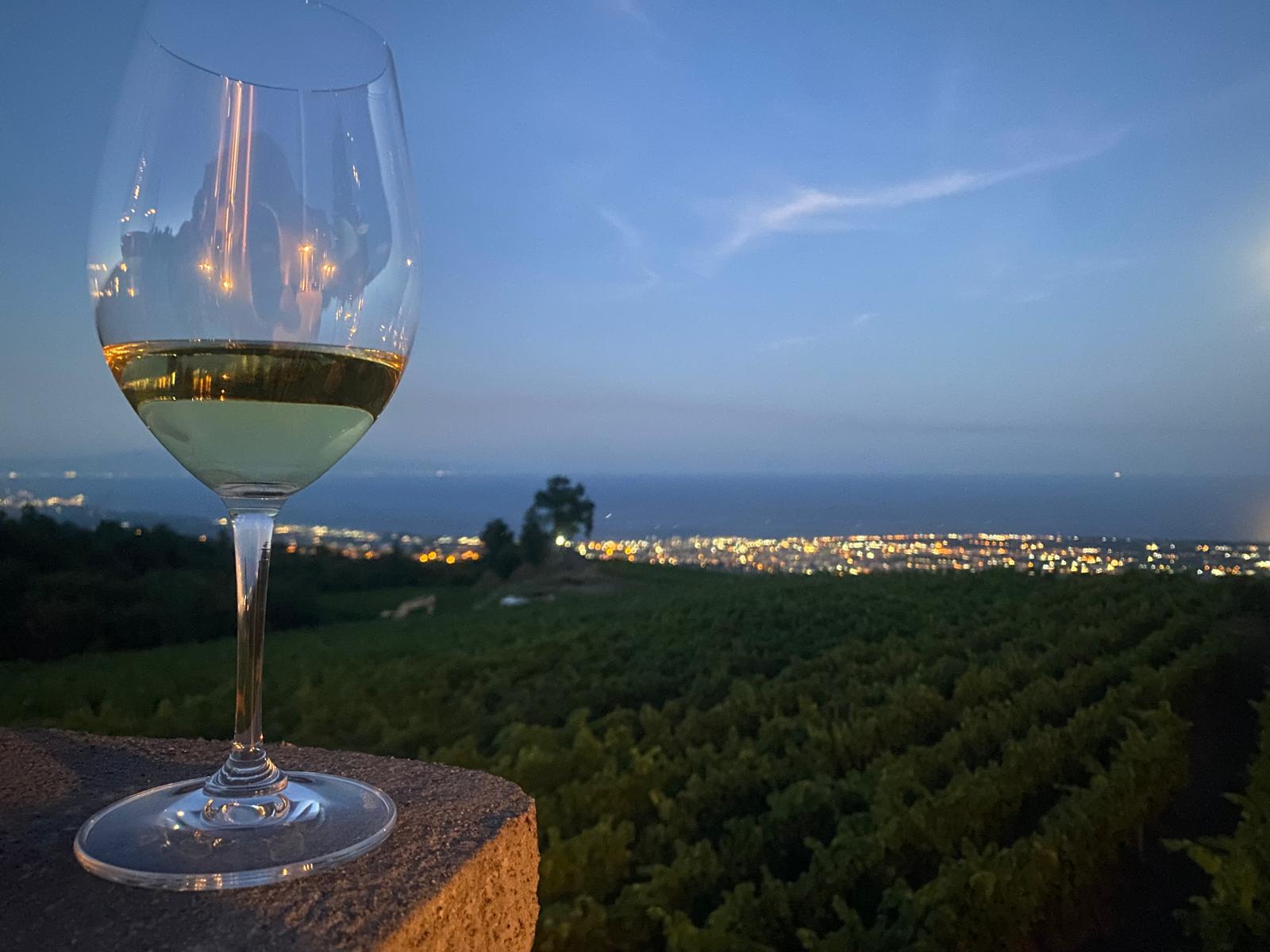 Milo, degustazioni in vigna al tramonto