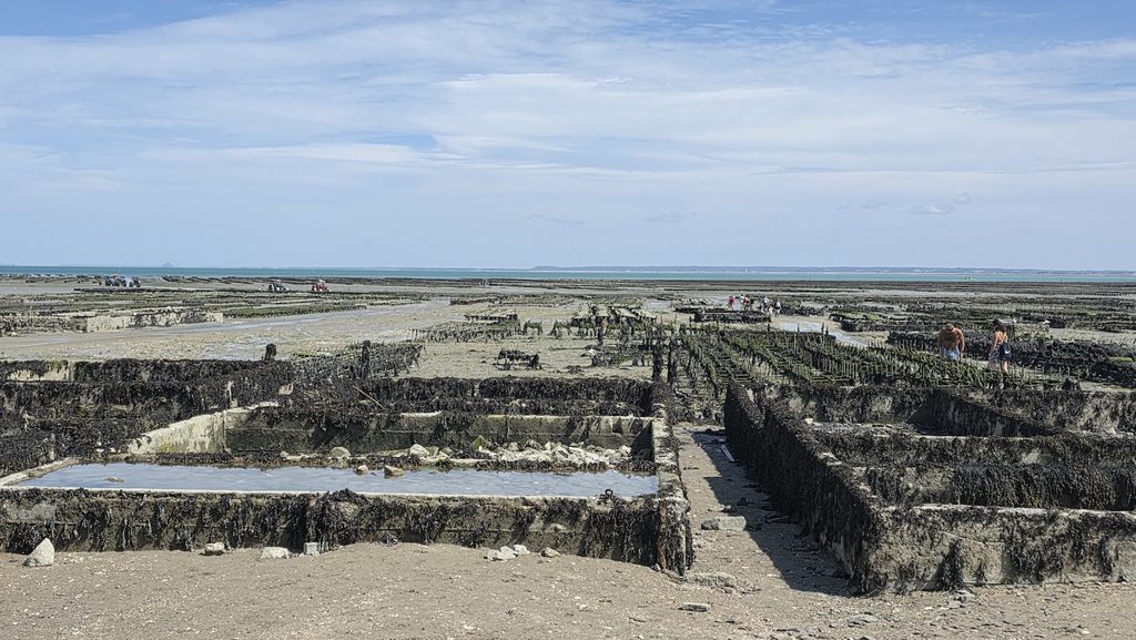 Gli allevamenti di ostriche di Cancale, affacciati sulla baia, durante la bassa marea