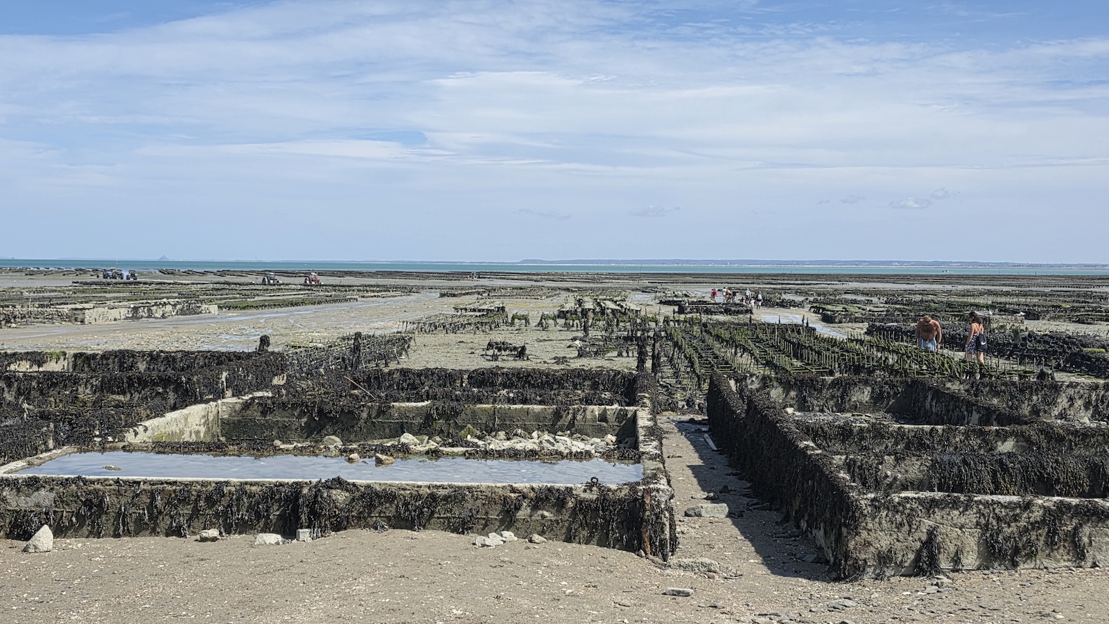 Gli allevamenti di ostriche di Cancale, affacciati sulla baia, durante la bassa marea